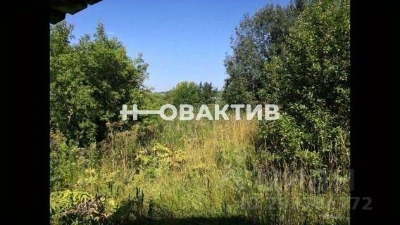 Купить Дом В Жеребцово Новосибирской Области