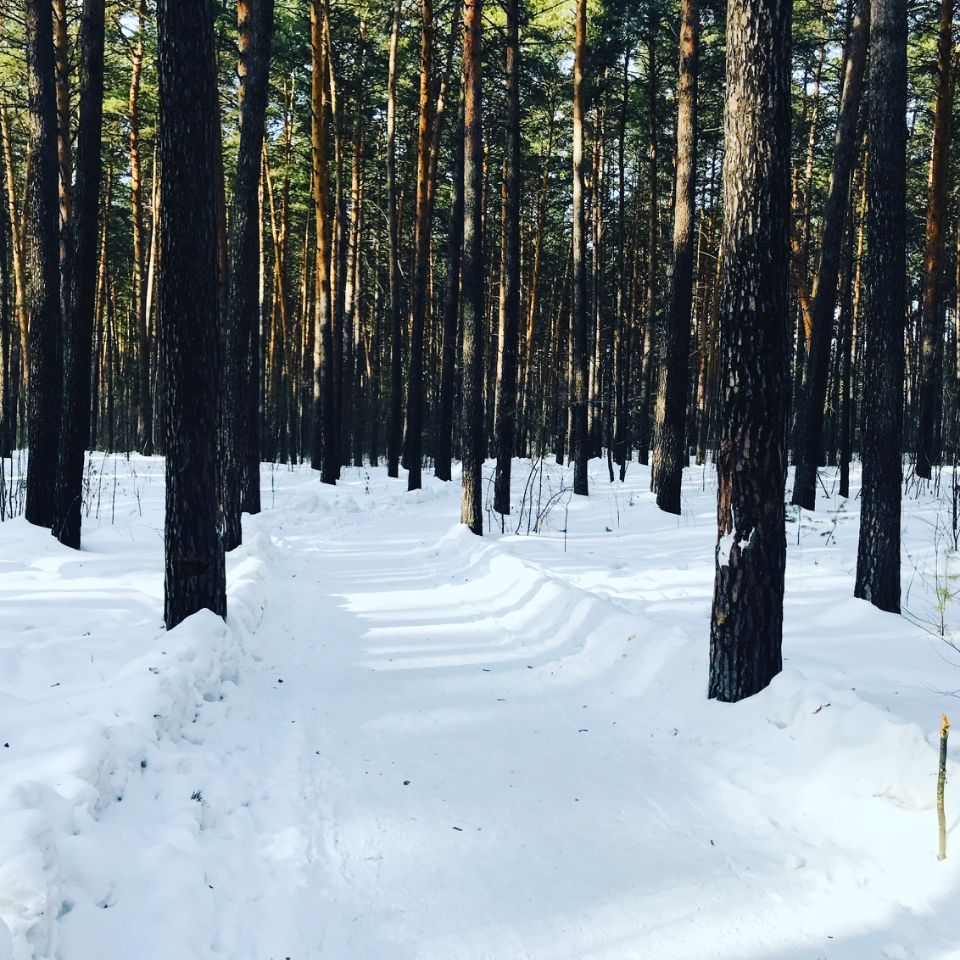 Парки
