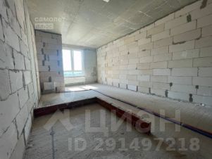 студия, 24 м², этаж 8