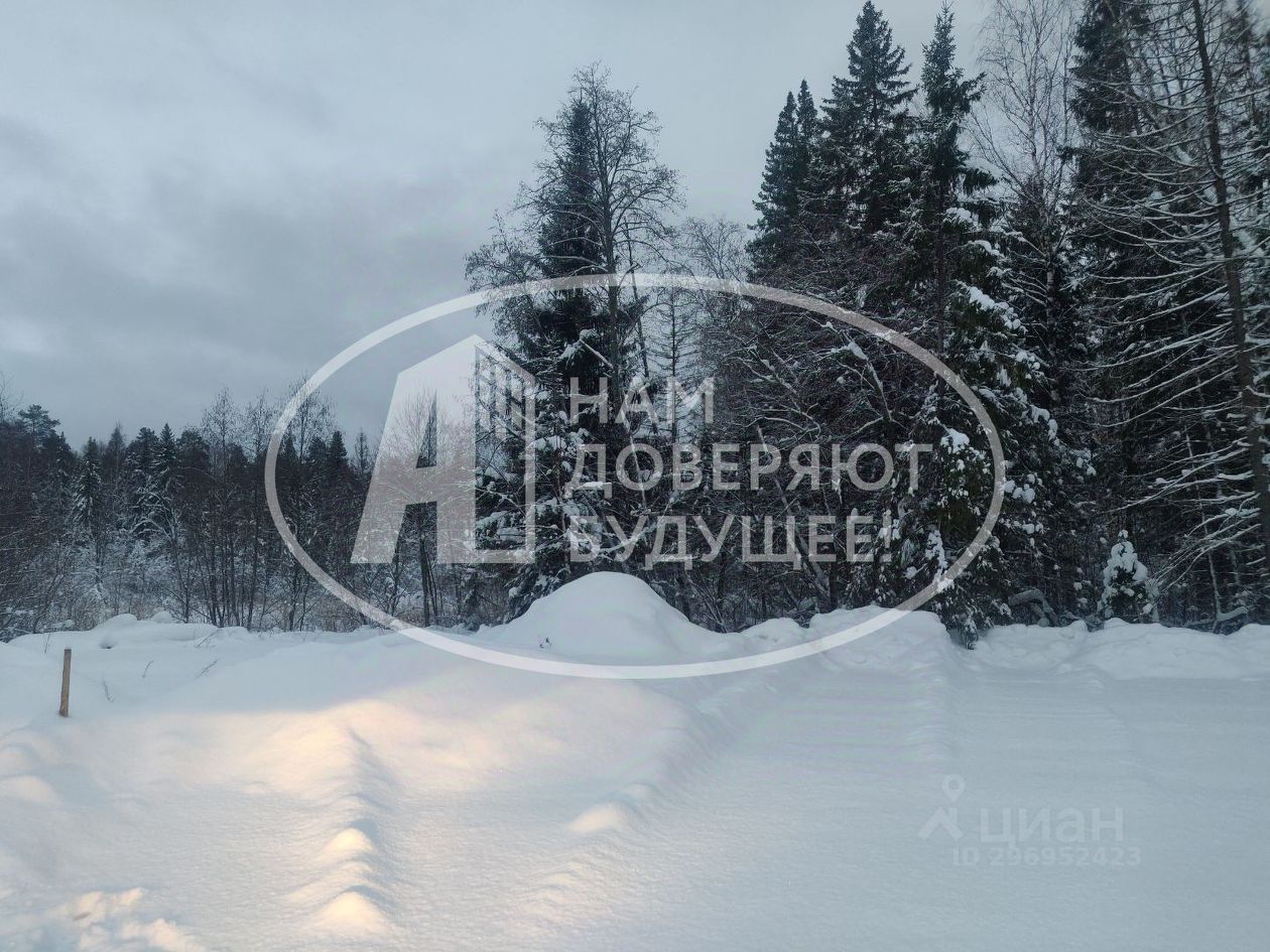 Купить земельный участок на улице Боровая в городе Чайковский, продажа  земельных участков - база объявлений Циан. Найдено 1 объявление