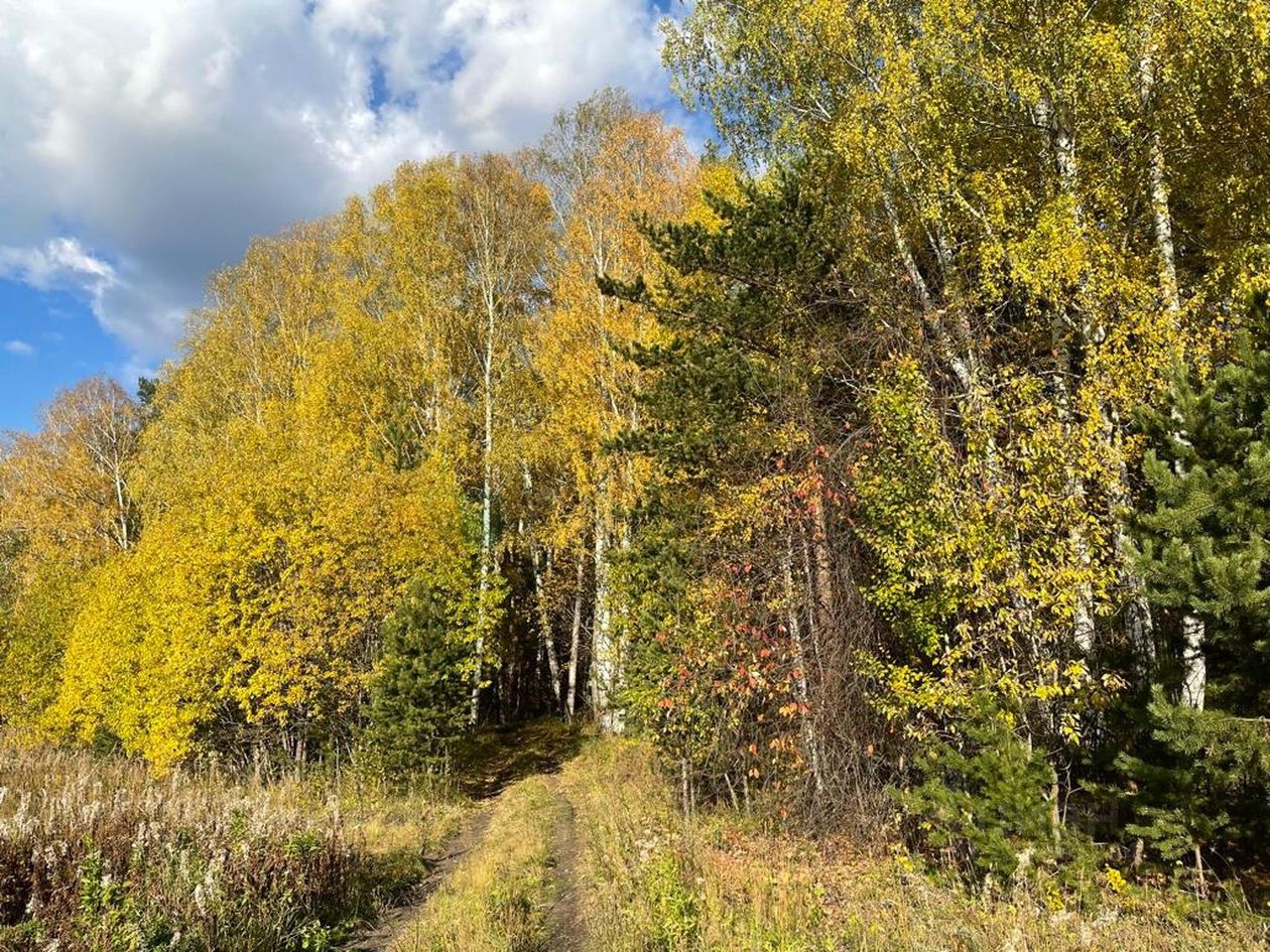 Купить загородную недвижимость в поселке Зеленый Лог Свердловской области,  продажа загородной недвижимости - база объявлений Циан. Найдено 13  объявлений