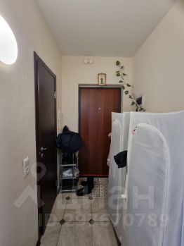 студия, 21 м², этаж 16