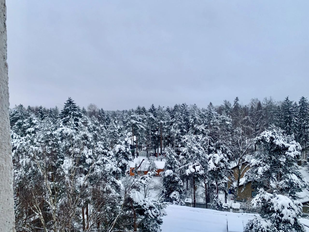 Купить квартиру на улице Социалистическая в городе Всеволожск, продажа  квартир во вторичке и первичке на Циан. Найдено 7 объявлений