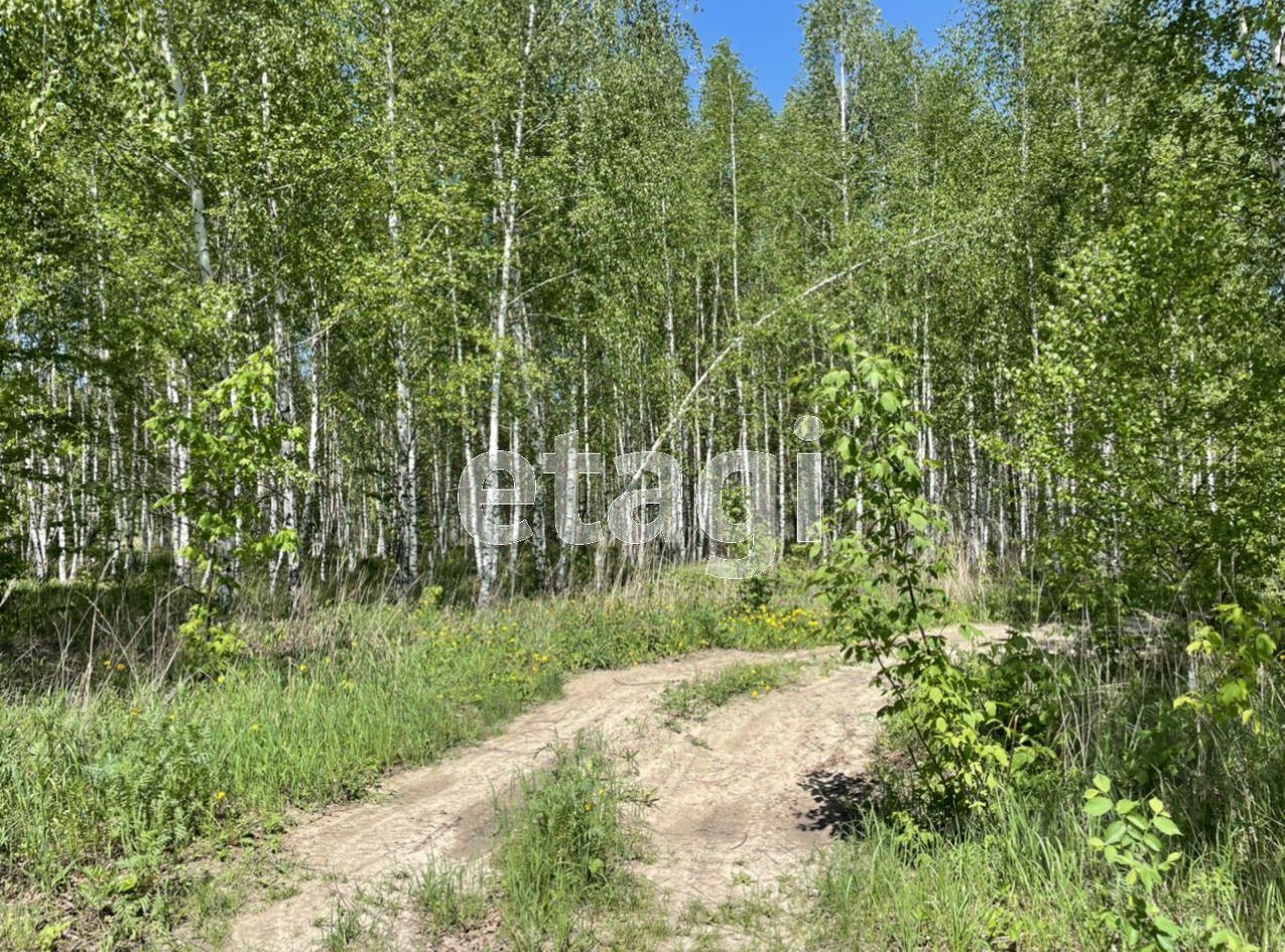 Купить загородную недвижимость в рабочем поселке Новая Ляда Тамбовской  области, продажа загородной недвижимости - база объявлений Циан. Найдено 51  объявление