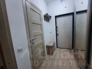 студия, 24 м², этаж 14