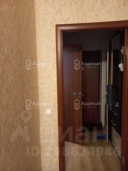 студия, 28 м², этаж 24