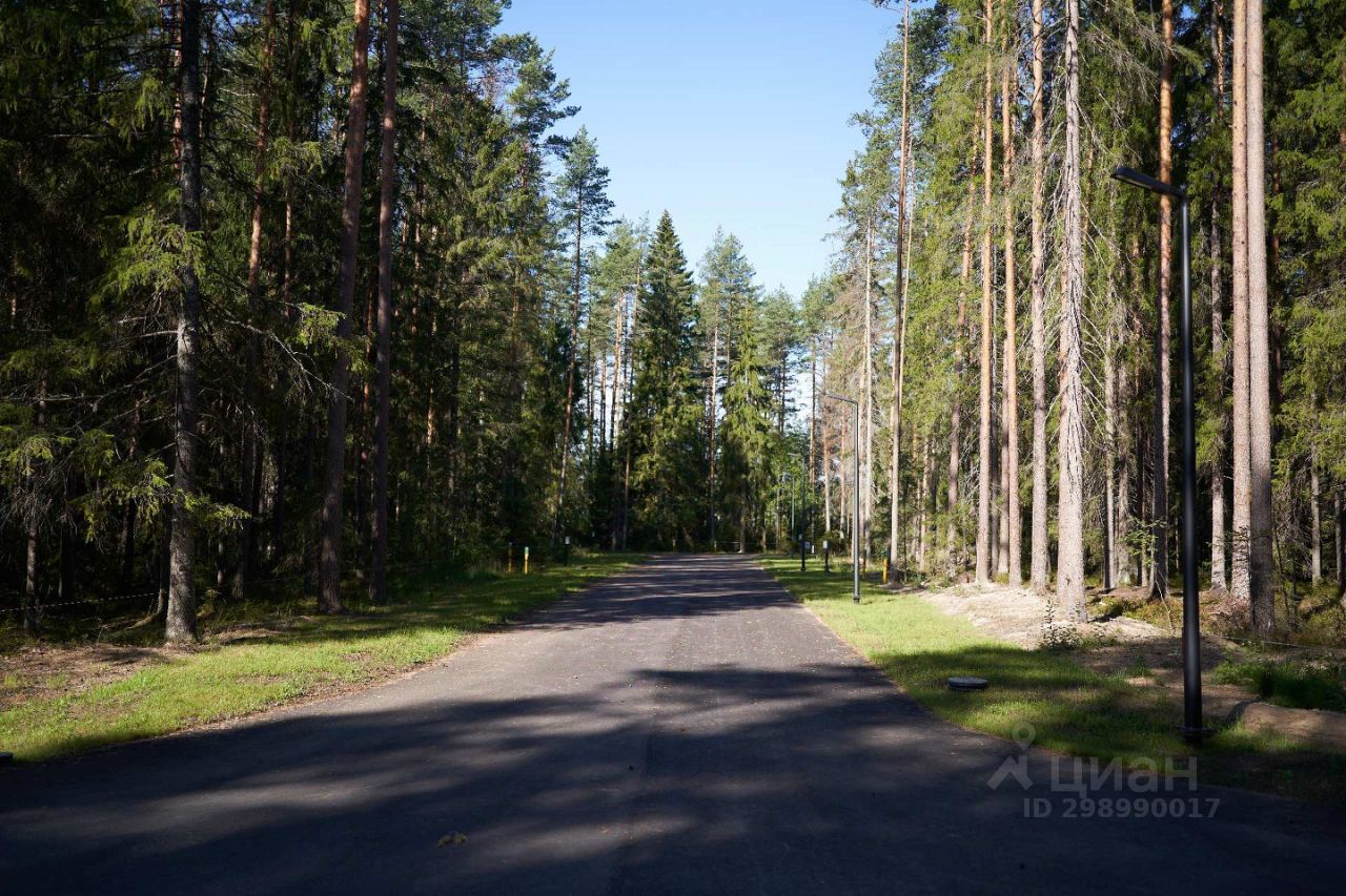 Купить дачный участок в поселке городского типа Рощино Выборгского района,  продажа участков для дачи. Найдено 58 объявлений.