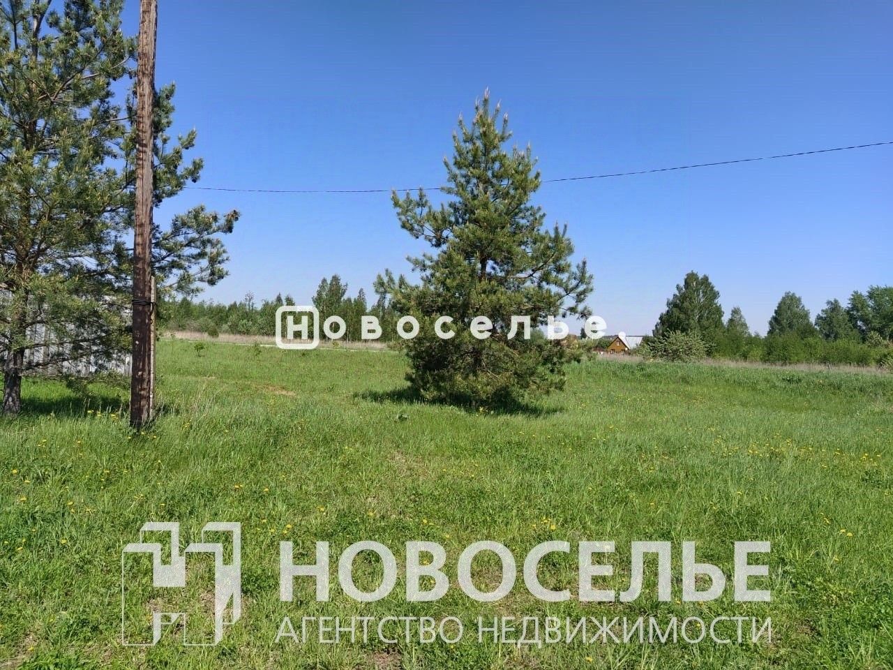 Продажа участка 0,5га Рязанская область, Спасский район, Кирицкое с/пос,  Сушки село - база ЦИАН, объявление 264149551