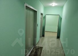 1-комн.кв., 38 м², этаж 5