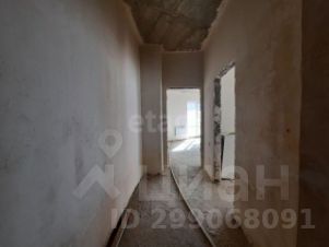 2-комн.кв., 81 м², этаж 2