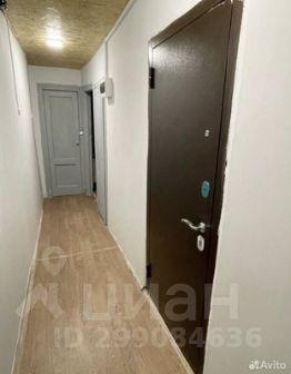 комната 232/16 м², этаж 5