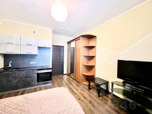 студия, 24 м², этаж 12