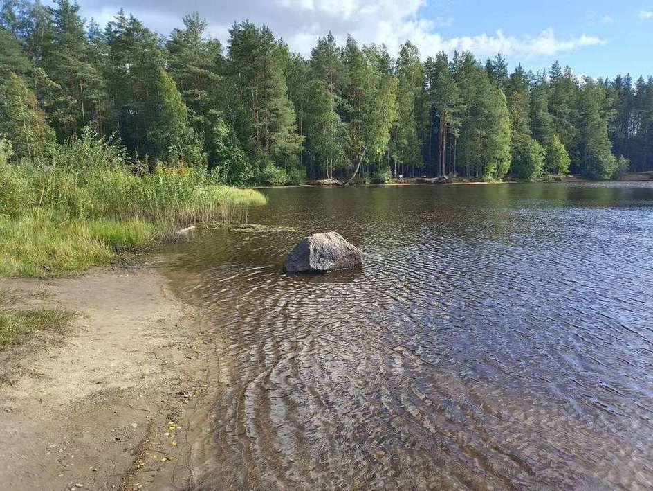 Купить Землю Под Санкт Петербургом