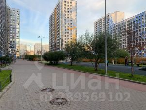 студия, 24 м², этаж 11