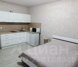 студия, 25 м², этаж 9