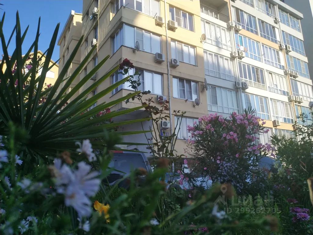 Снять квартиру-студию 40м² ул. Полтавская, 19/6, Сочи, Краснодарский край,  Мамайка микрорайон - база ЦИАН, объявление 299262705