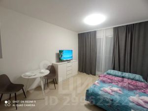 студия, 23 м², этаж 12