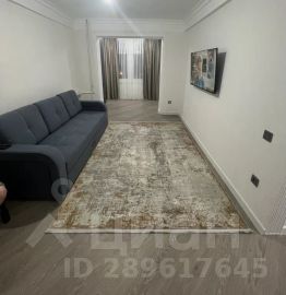 2-комн. кв 50 м2, 8/10 эт