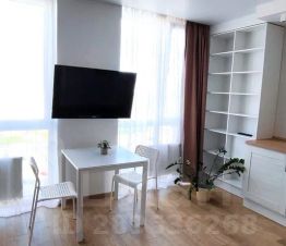 студия, 30 м², этаж 12