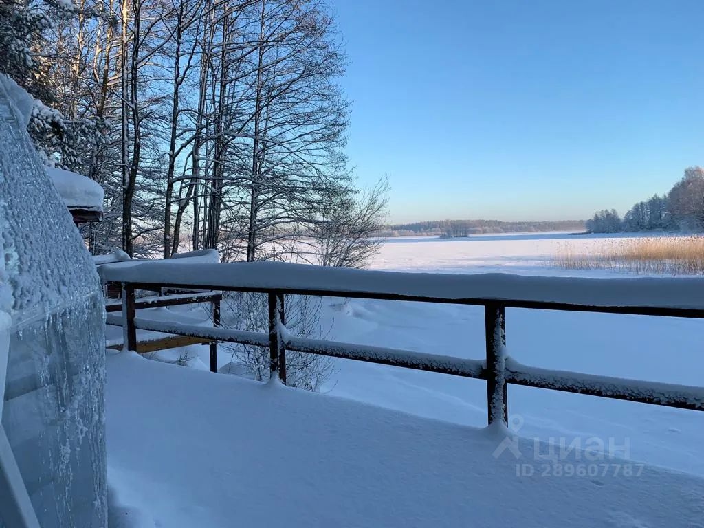 Снять дом 28м² ул. Краснохолмская, 1А, Ленинградская область, Выборгский  район, Гончаровское с/пос, Пальцево поселок - база ЦИАН, объявление  289607787