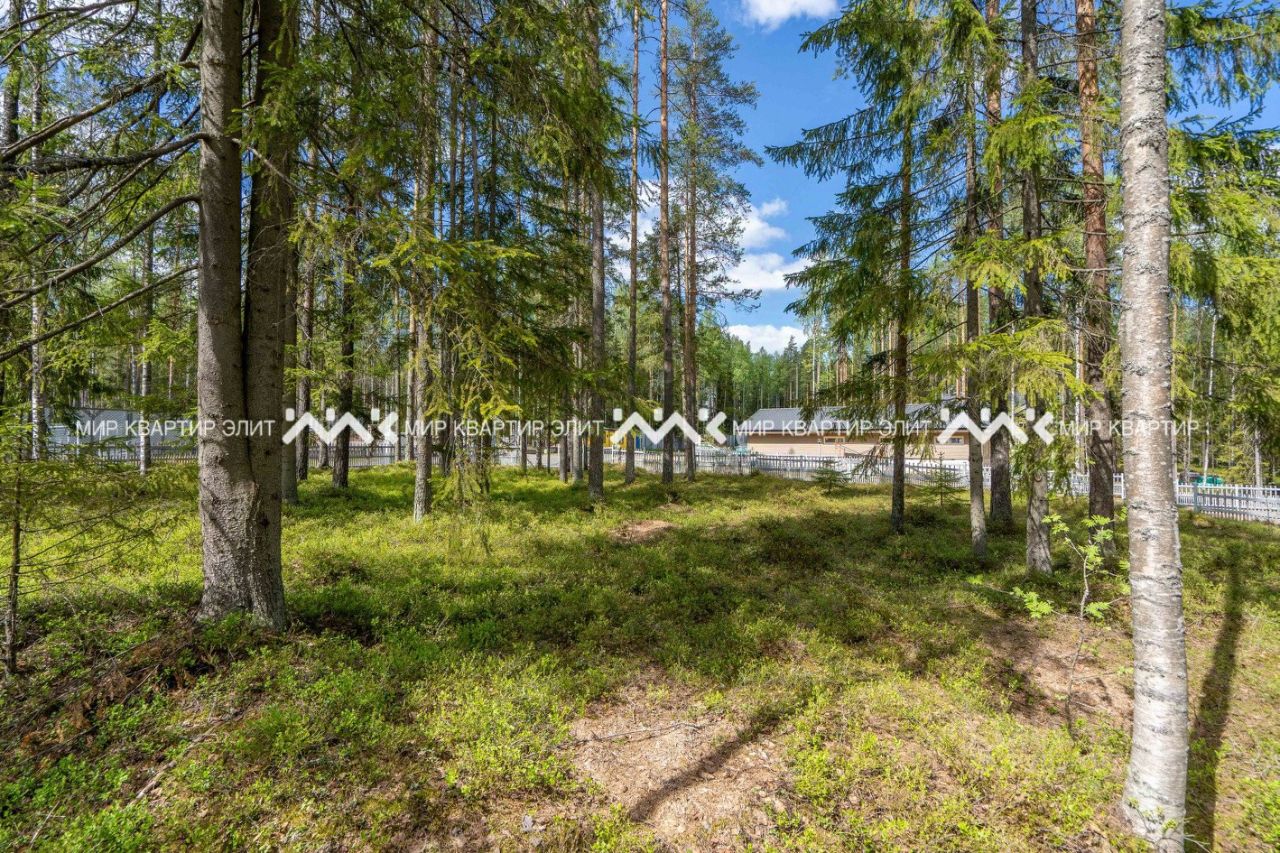 Купить загородную недвижимость в Ленинградской области, продажа загородной  недвижимости - база объявлений Циан. Найдено 23 879 объявлений