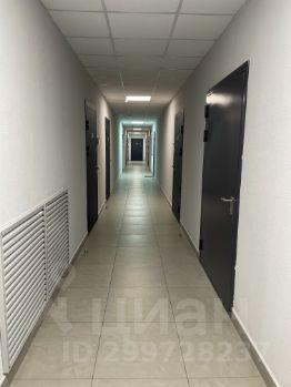 студия, 26 м², этаж 7