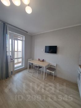 студия, 25 м², этаж 17