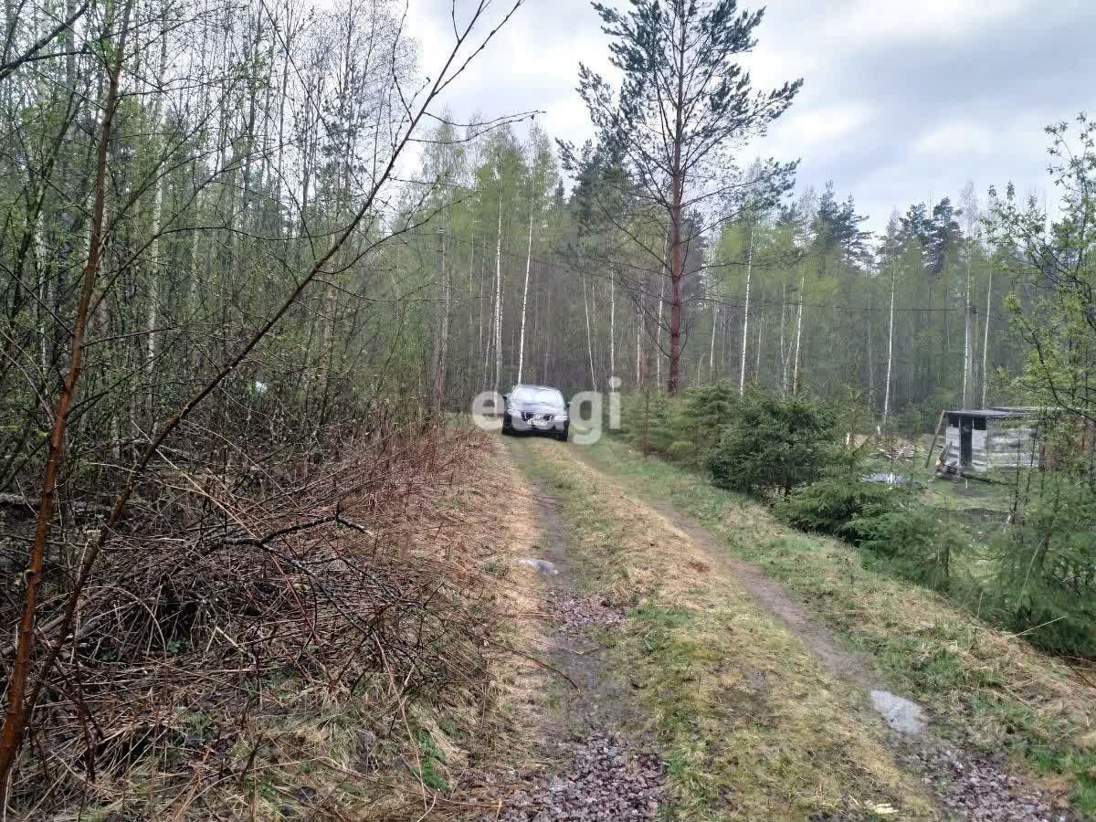 Купить загородную недвижимость в сельском поселении Мичуринское Приозерского  района, продажа загородной недвижимости - база объявлений Циан. Найдено 6  объявлений