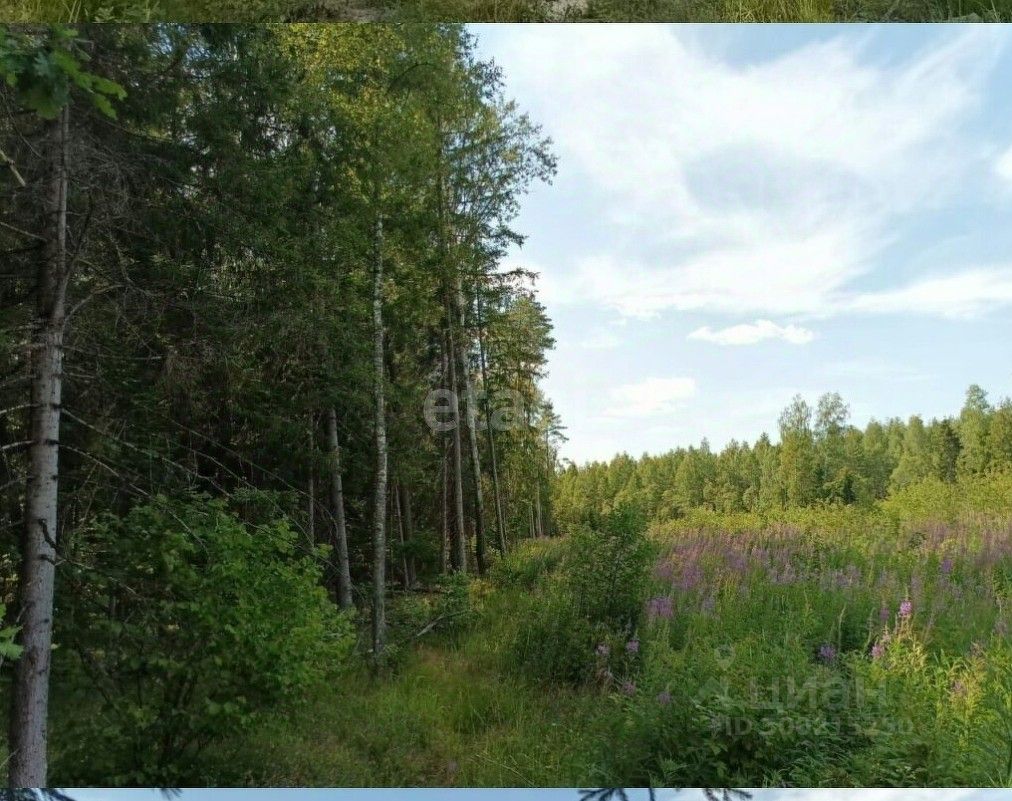 Купить загородную недвижимость на проезде 1-й Секиотовский в городе Калуга,  продажа загородной недвижимости - база объявлений Циан. Найдено 1 объявление