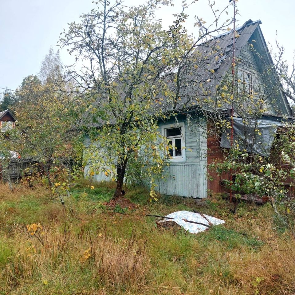 Купить дом в садоводческом массиве Чаща в городском поселении Вырицкое,  продажа домов - база объявлений Циан. Найдено 25 объявлений