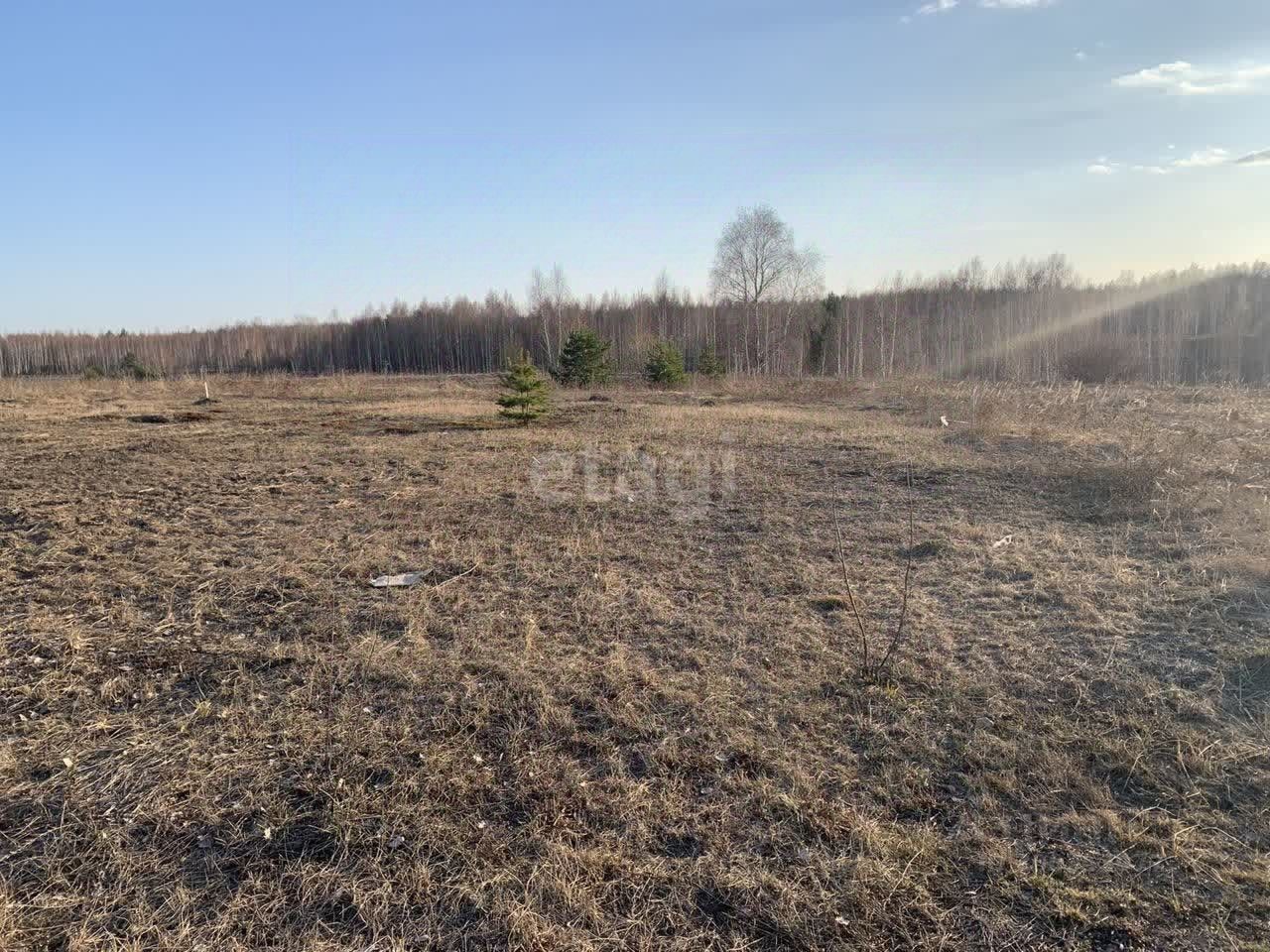 Купить земельный участок в жилмассиве Лесная поляна в городе Казань,  продажа земельных участков - база объявлений Циан. Найдено 3 объявления