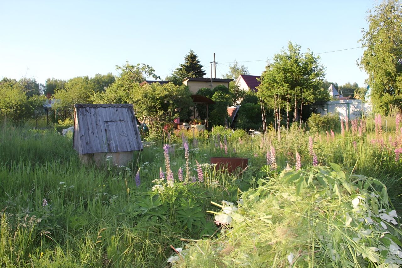 Купить загородную недвижимость в СНТ Чайка городского округа Талдомского,  продажа загородной недвижимости - база объявлений Циан. Найдено 1 объявление