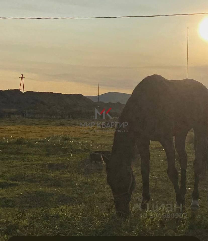 Купить земельный участок в поселке городского типа Каа-Хем Кызылского  кожууна, продажа земельных участков - база объявлений Циан. Найдено 108  объявлений