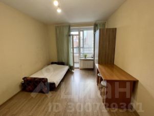 студия, 24 м², этаж 8