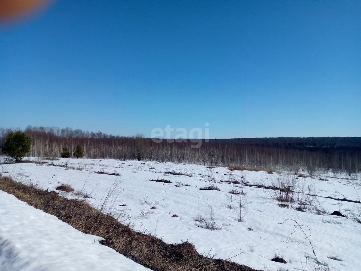 Купить загородную недвижимость в деревне Касаниха Богородского района,  продажа загородной недвижимости - база объявлений Циан. Найдено 3 объявления