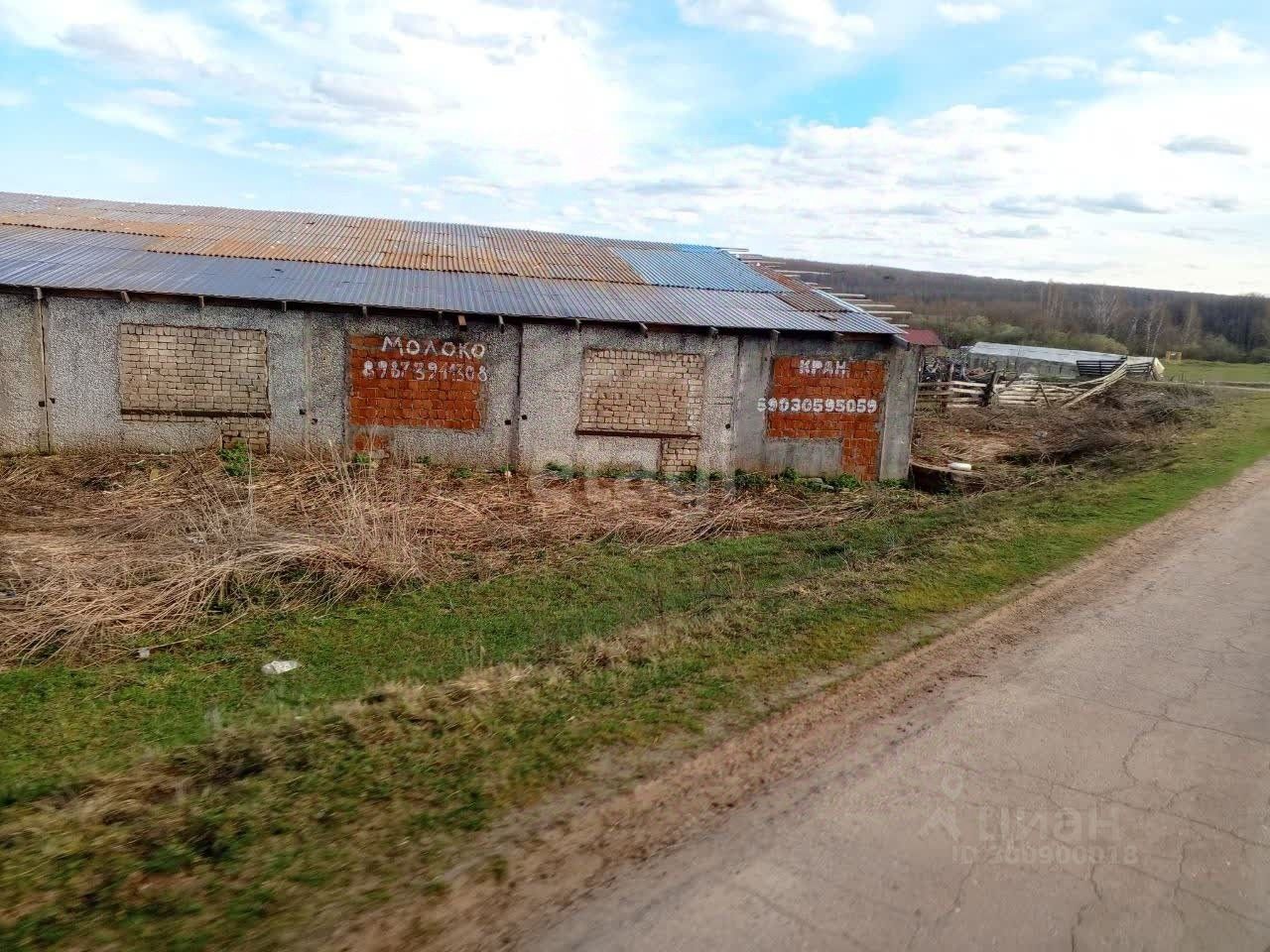 Купить земельный участок в деревне Касаниха Богородского района, продажа  земельных участков - база объявлений Циан. Найдено 4 объявления