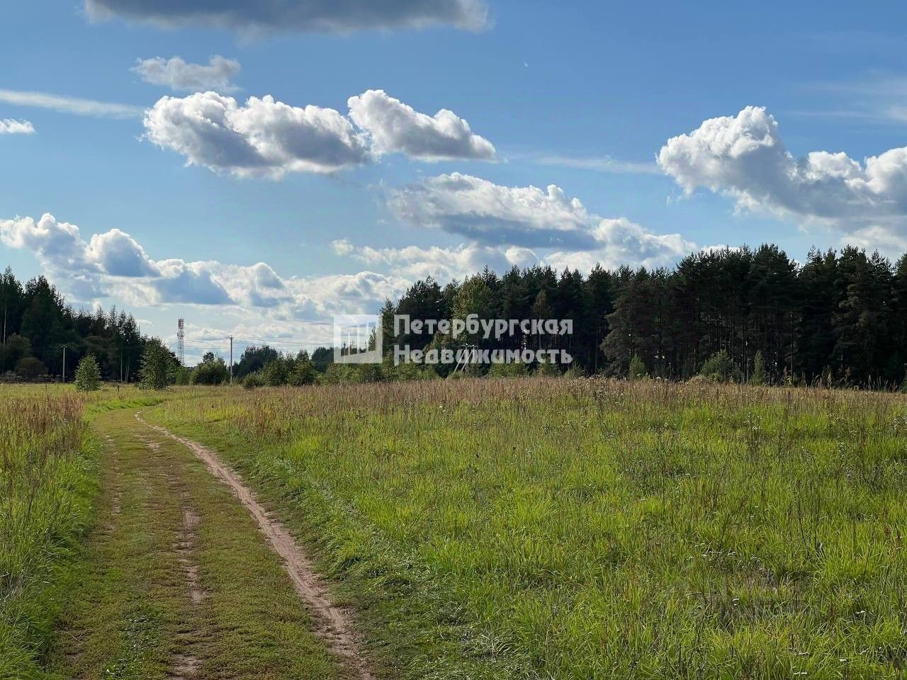 Купить загородную недвижимость в Тихвине, продажа загородной недвижимости -  база объявлений Циан. Найдено 8 объявлений