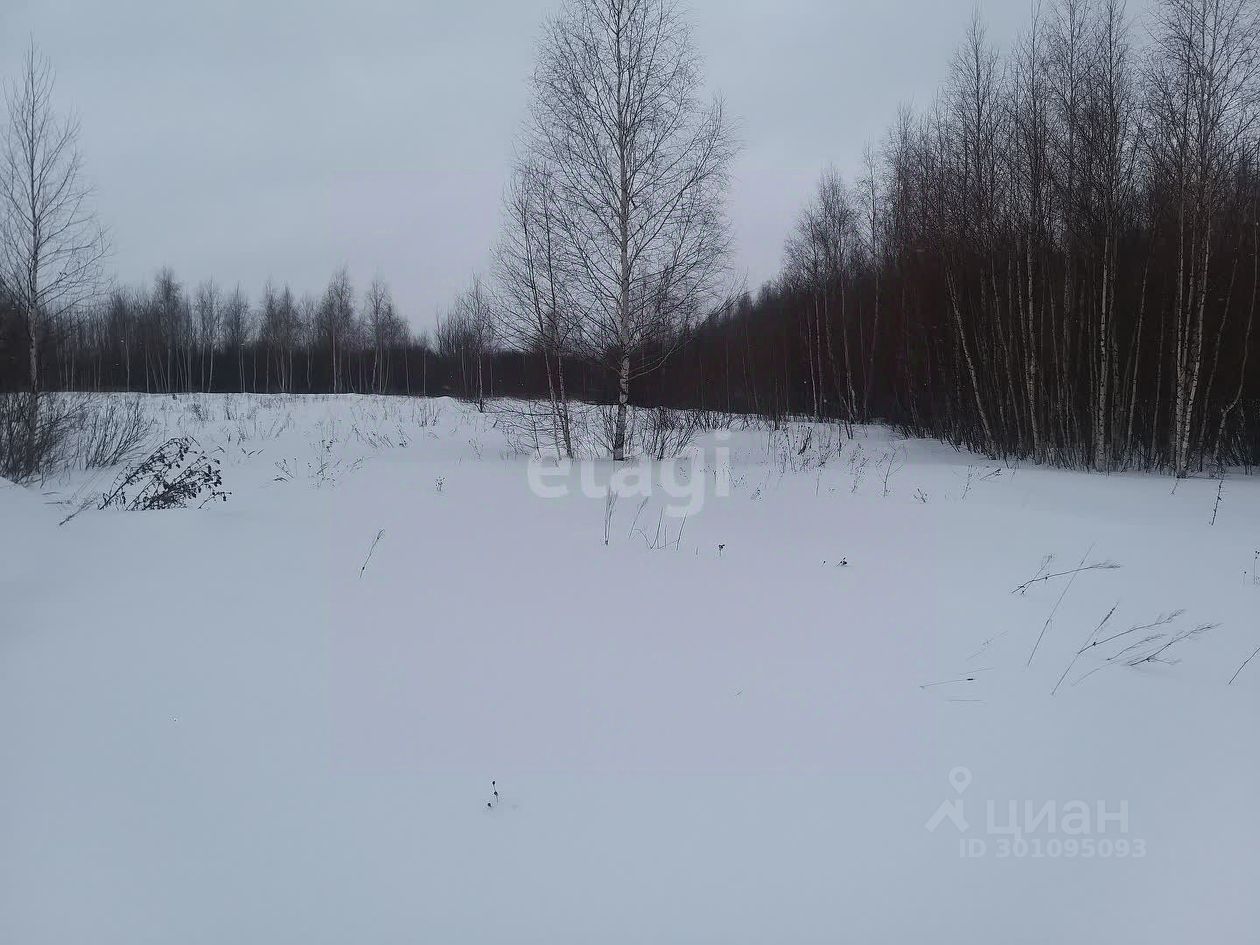 Купить загородную недвижимость в селе Борковка Нижегородской области,  продажа загородной недвижимости - база объявлений Циан. Найдено 25  объявлений