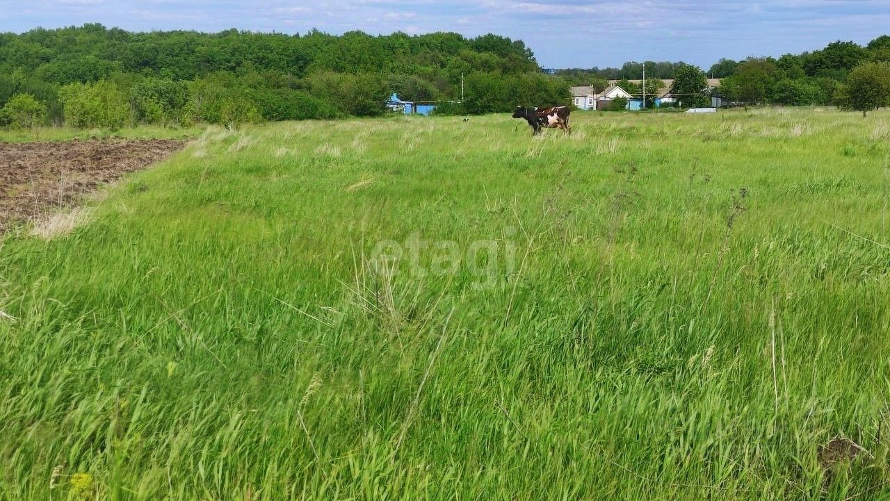 Купить дачный участок в сельском поселении Жигайловское Белгородской  области, продажа участков для дачи. Найдено 3 объявления.