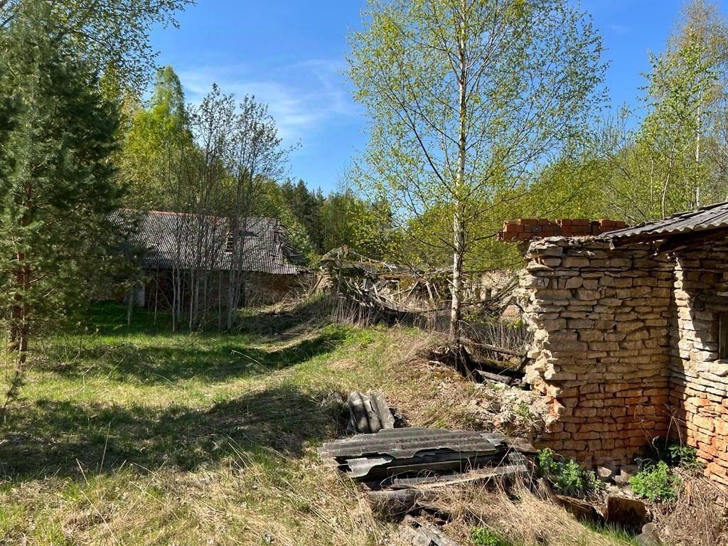 Купить загородную недвижимость в деревне Лезги Псковской области, продажа  загородной недвижимости - база объявлений Циан. Найдено 1 объявление