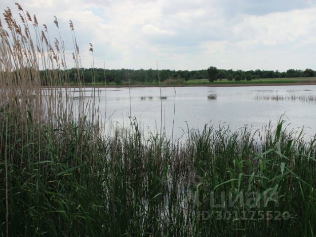 Ошибка загрузки фото