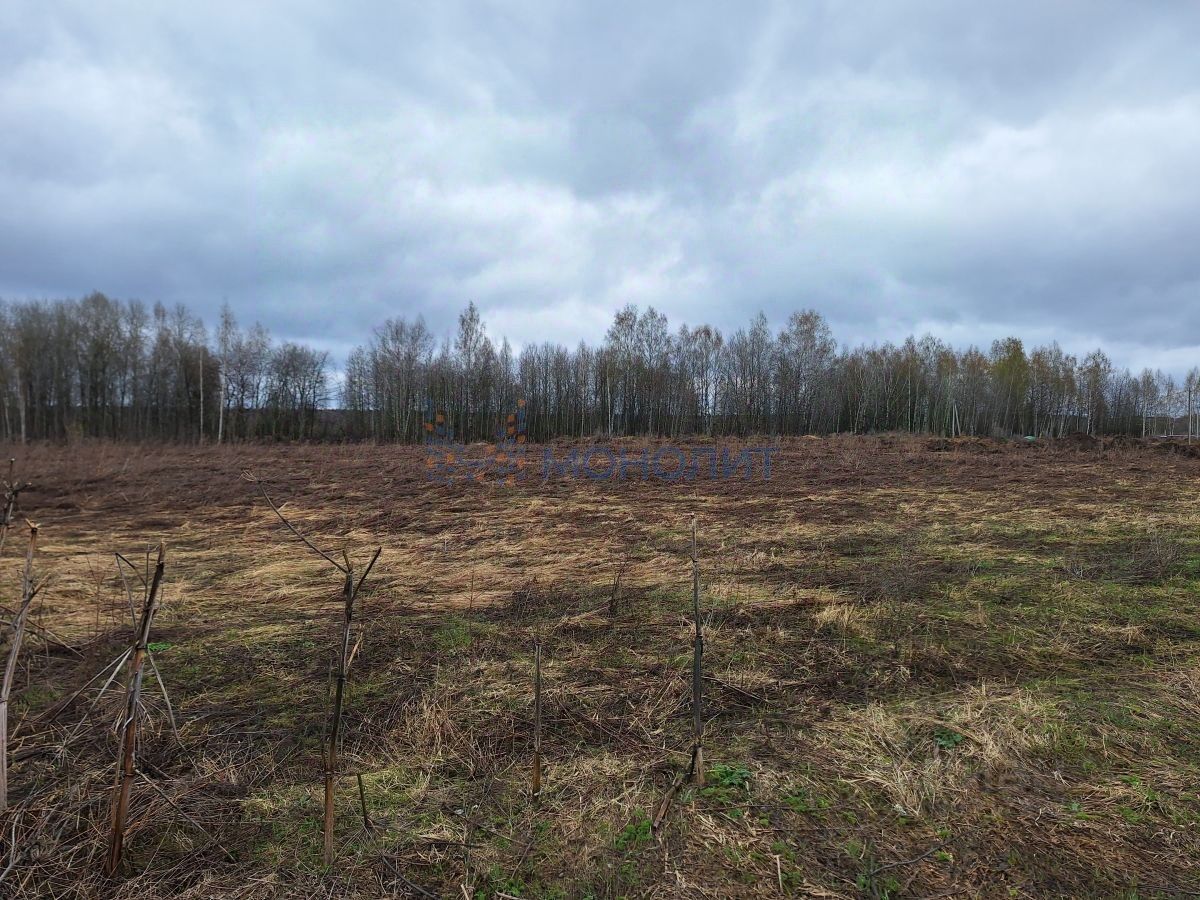 Купить земельный участок в деревне Линдо-Пустынь Нижегородской области,  продажа земельных участков - база объявлений Циан. Найдено 5 объявлений