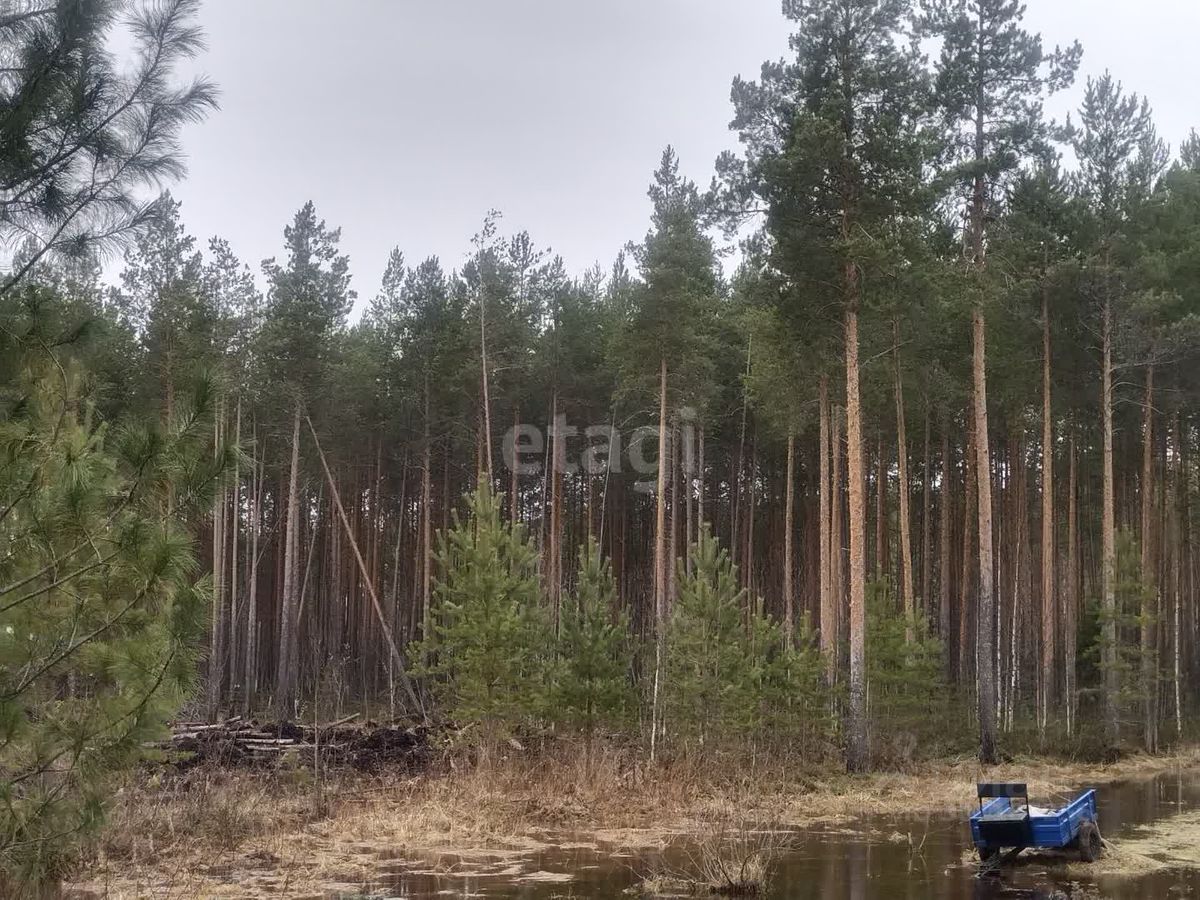 Купить земельный участок на линии 6-я в поселке городского типа Верхняя  Максаковка, продажа земельных участков - база объявлений Циан. Найдено 2  объявления