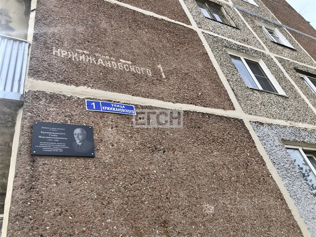 Купить двухкомнатную квартиру 44,1м² ул. Кржижановского, 1, Электрогорск,  Московская область, Павлово-Посадский городской округ - база ЦИАН,  объявление 301355334