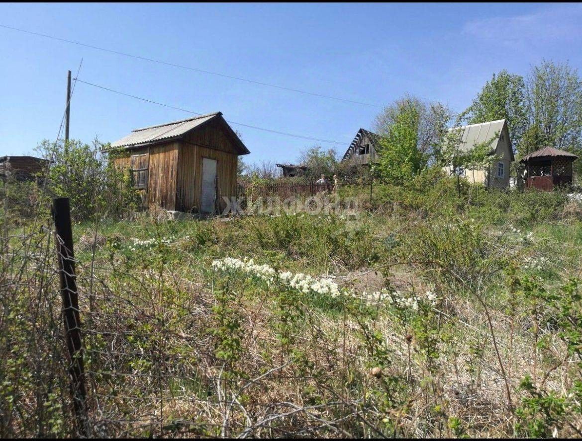 Купить дом до 300 тыс рублей в Новосибирске. Найдено 10 объявлений.