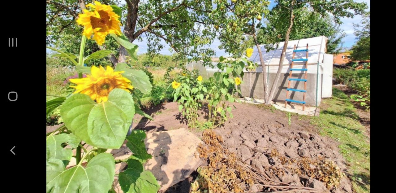 Купить дом в садовое товарищество Меланжист-3 в городе Егорьевск, продажа  домов - база объявлений Циан. Найдено 1 объявление