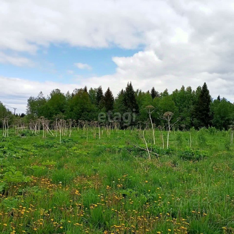 Купить загородную недвижимость в местечке Давпон в городе Сыктывкар,  продажа загородной недвижимости - база объявлений Циан. Найдено 2 объявления