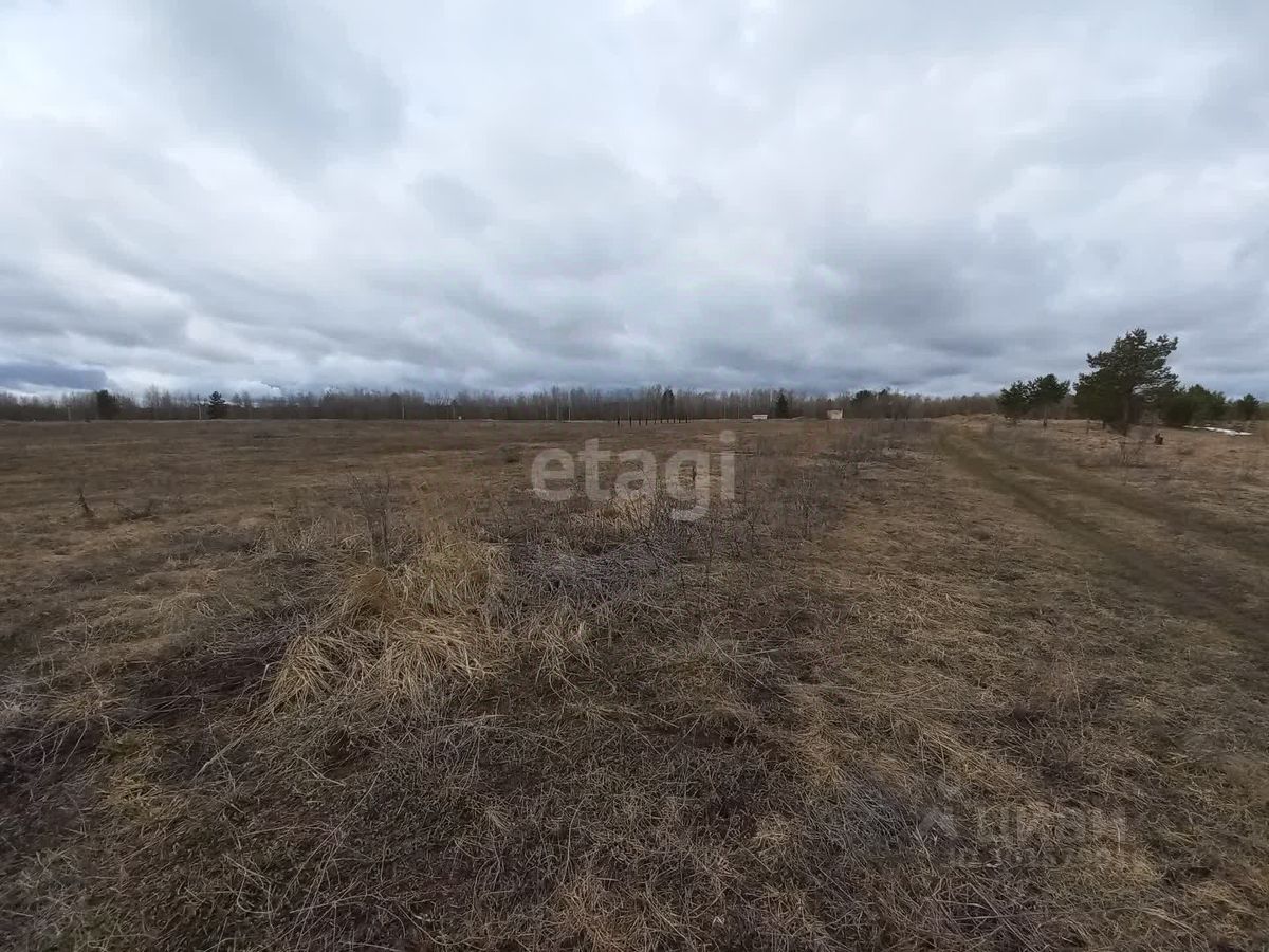 Купить загородную недвижимость в коттеджном поселке Южный Завьяловского  района, продажа загородной недвижимости - база объявлений Циан. Найдено 1  объявление