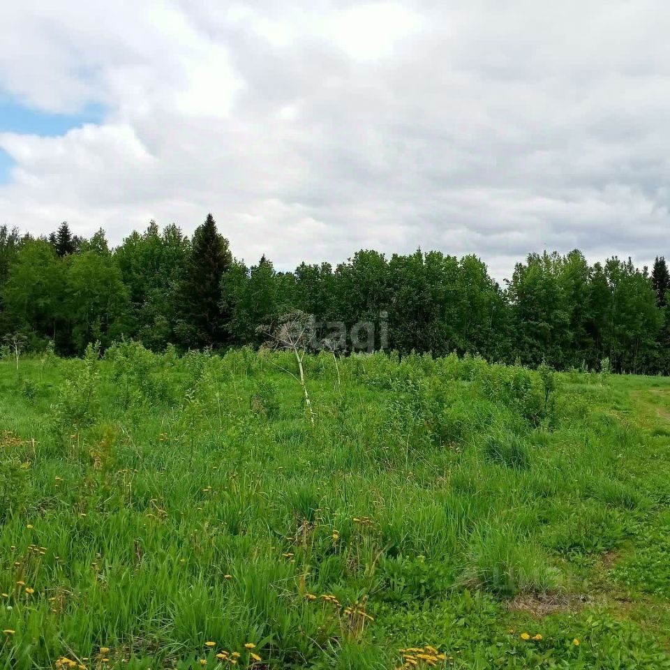 Купить земельный участок в местечке Радиобиология городского округа  Сыктывкара, продажа земельных участков - база объявлений Циан. Найдено 1  объявление