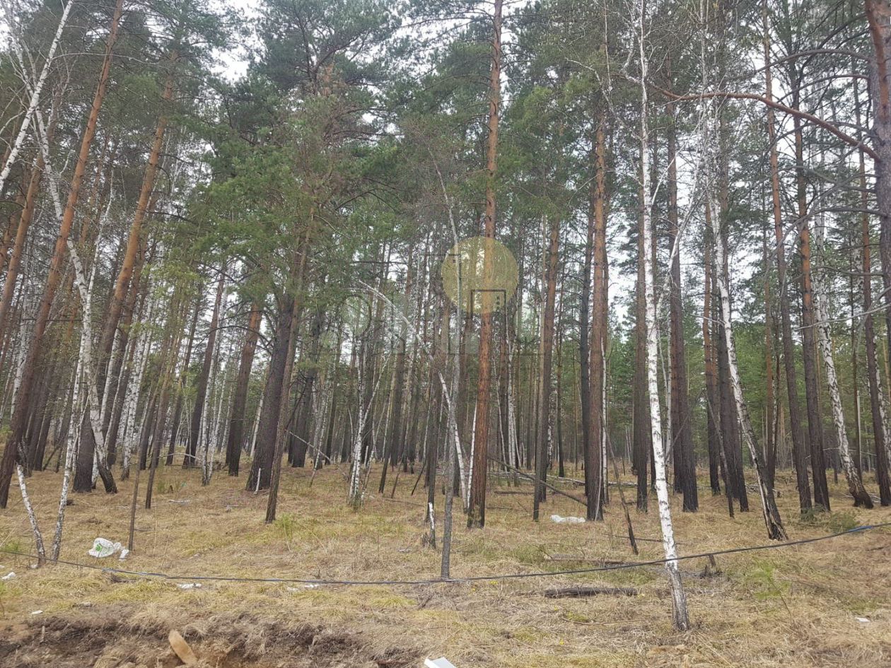 Купить дом в ДНТ Кристалл в рабочем поселке Маркова, продажа домов - база  объявлений Циан. Найдено 4 объявления